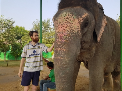 Marc caresse l'éléphant